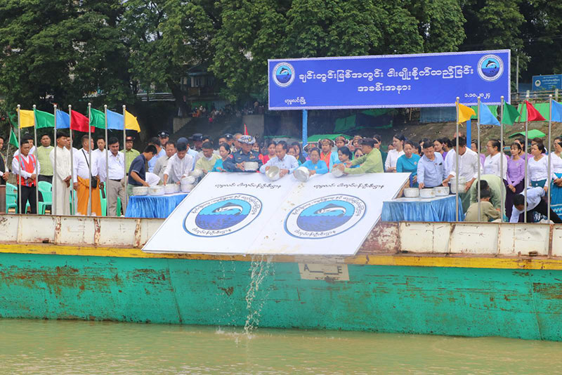 စစ်ကိုင်းတိုင်းဒေသကြီး၊ ဟုမ္မလင်းမြို့၌ ချင်းတွင်းမြစ်အတွင်း ငါးမျိုးစိုက်ခြင်း အခမ်း အနား ကျင်းပ