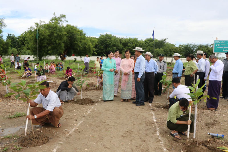 စစ်ကိုင်းတိုင်းဒေသကြီး၊ မုံရွာတက္ကသိုလ် ပညာ့ရိပ်သာအတွင်း၌ ၂၀၂၅-ခုနှစ်၊ မိုးရာသီစုပေါင်း သစ်ပင်စိုက်ပျိုးပွဲတော် အခမ်းအနား တက်ရောက်