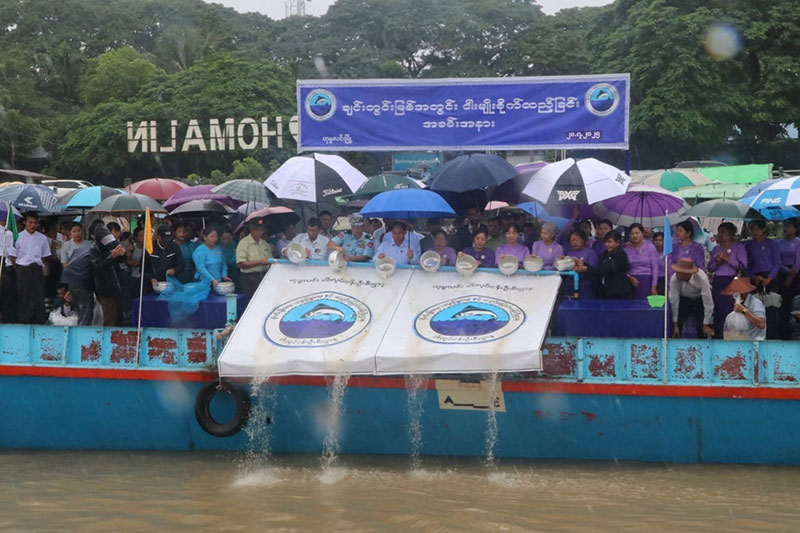 စစ်ကိုင်းတိုင်းဒေသကြီး ဝန်ကြီးချုပ် ဦးမြတ်ကျော် ဟုမ္မလင်းမြို့၌ ချင်းတွင်းမြစ်အတွင်း ငါးမျိူးစိုက်ထည့်ခြင်း အခမ်းအနား တက်ရောက်ခြင်းနှင့် ဒေသဖွံ့ဖြိုးရေးလုပ်ငန်းများ ဆောင်ရွက်နေမှု လိုက်လံကြည့်ရှု